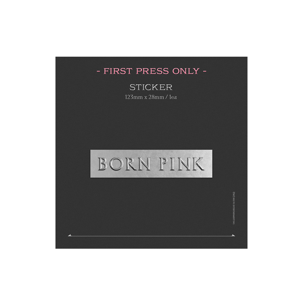 BORN PINK Exclusive Box Set - Gray Version 10