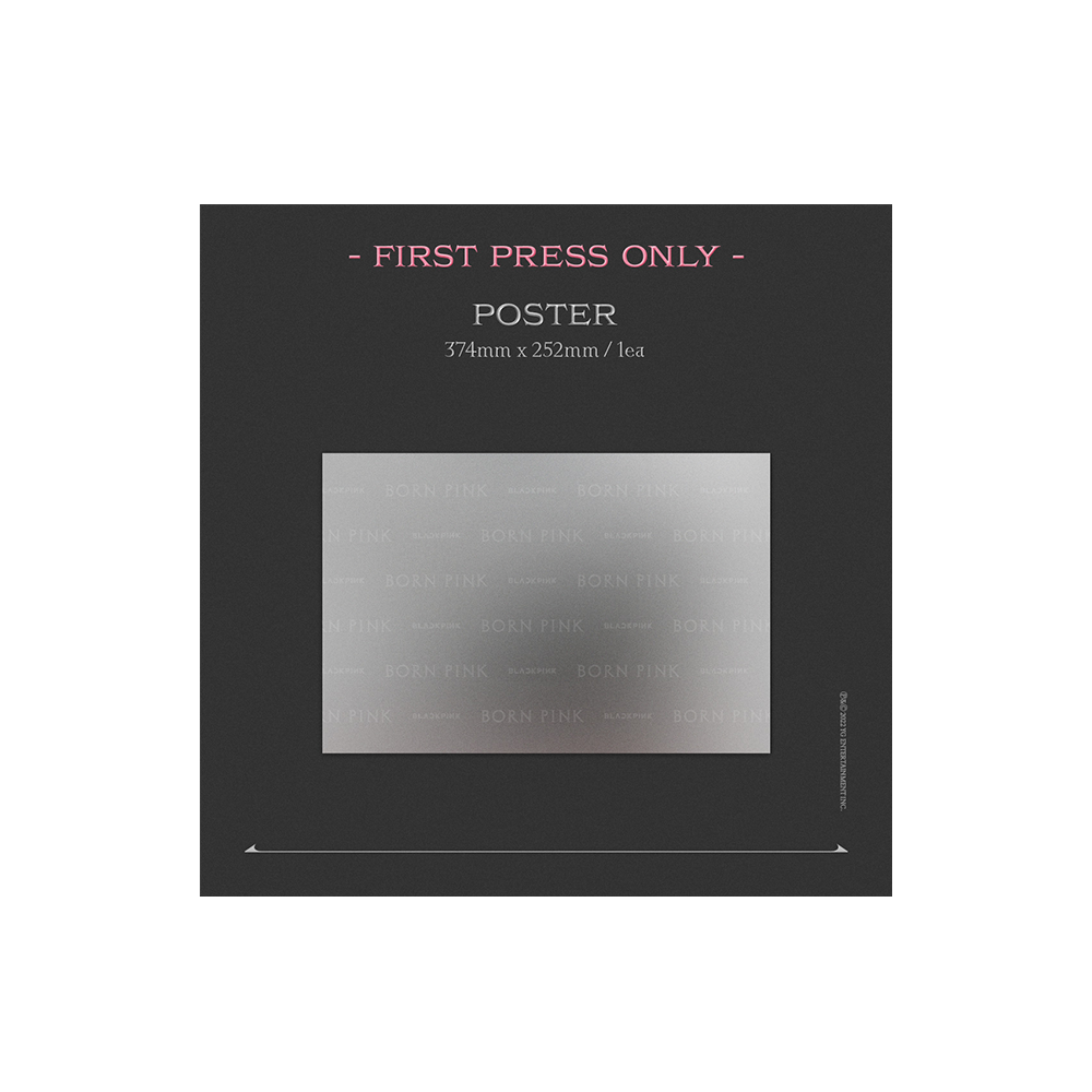 BORN PINK Exclusive Box Set - Gray Version