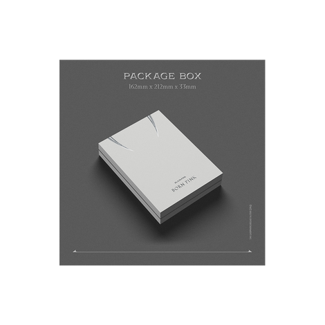 BORN PINK Exclusive Box Set - Gray Version 2